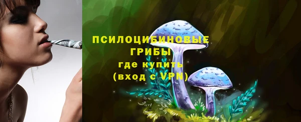 меф Армянск
