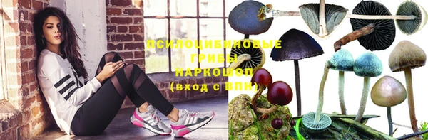 стафф Арсеньев